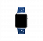 Smurf Blue Clear Apple WatchBand (38/40/41mm) - Image 4