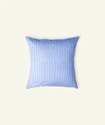 Dreamy Blue with Candy Red Silent Stripes, 24x24 Inch Cushion Cover