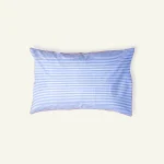 Dreamy Blue with Candy Red Silent Stripes Pillow Cover (Set of 2)