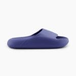 Sliders 2.0 – Purple Pyaaz – 11