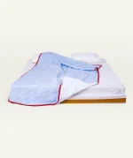 Dreamy Blue with Candy Red Silent Stripes Dohar - Image 3