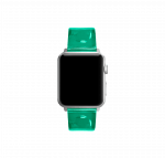 Shrek Green Clear Apple WatchBand | Online Shopping | Klippik Kuwait UAE Saudi