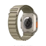 Olive Ridge Loop Apple WatchBand (38/40/41mm)