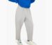 Ludic Core Joggers in Moon Grey